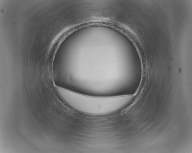 X0000080131310200612080946