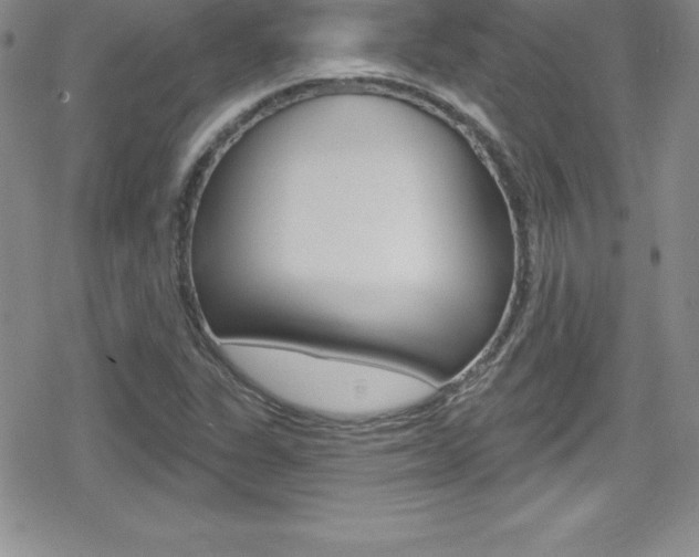 X0000080131311200612080946