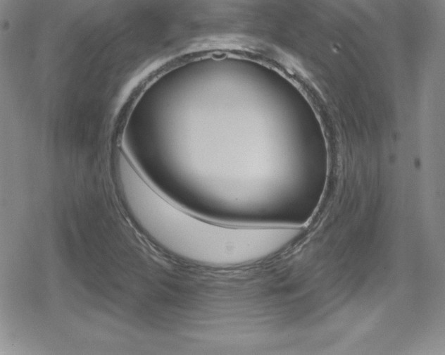X0000080131312200612080946