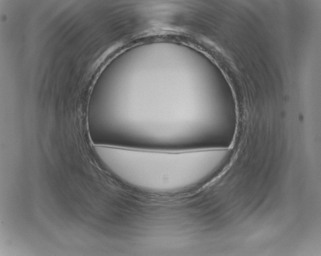 X0000080131313200612080946