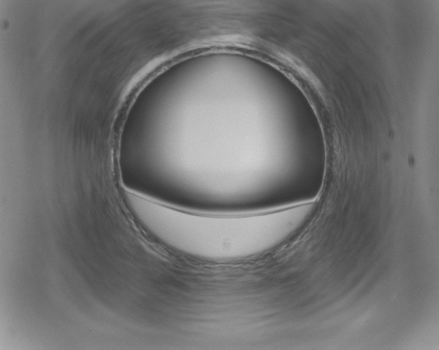 X0000080131316200612080946