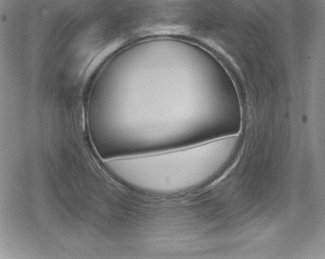 X0000080131317200612080946