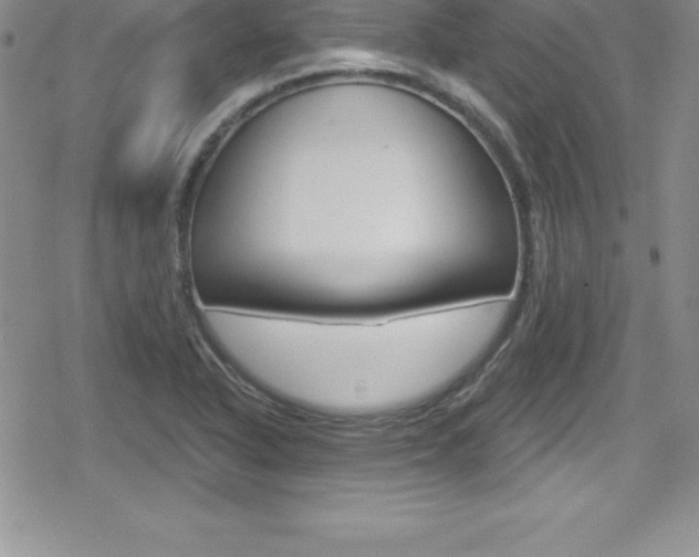 X0000080131318200612080946