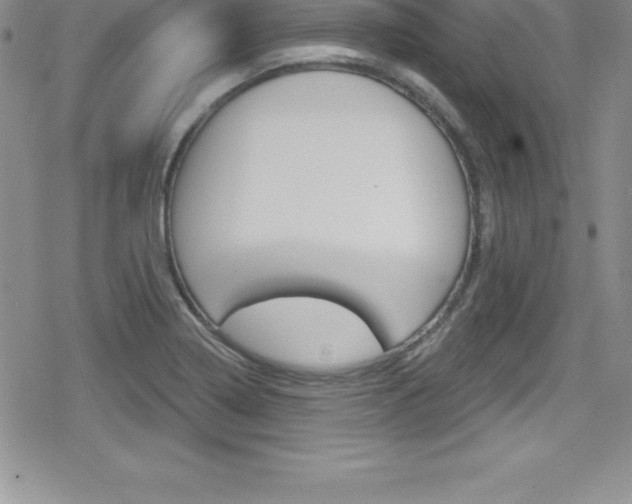X0000080131322200612080946