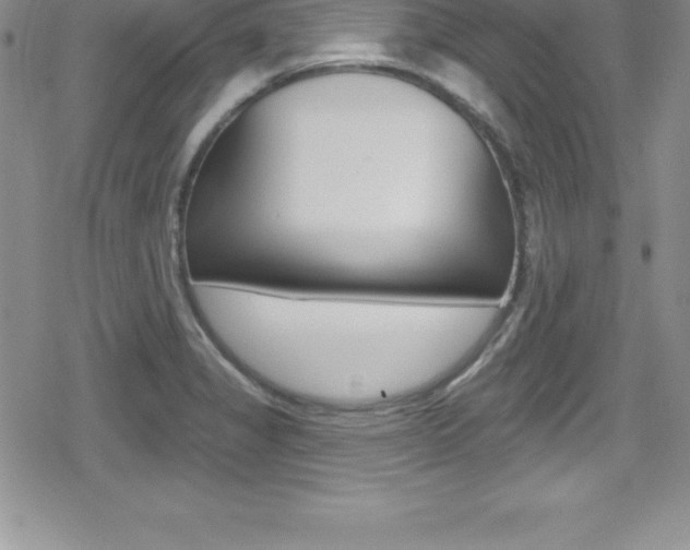 X0000080131325200612080946