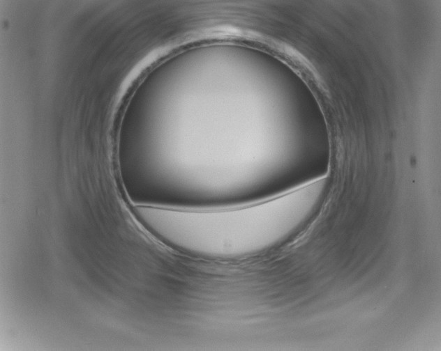 X0000080131326200612080946