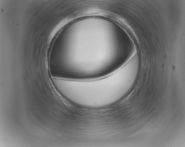 X0000080131328200612080946