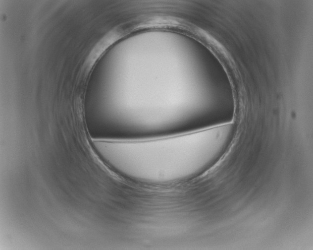 X0000080131329200612080946