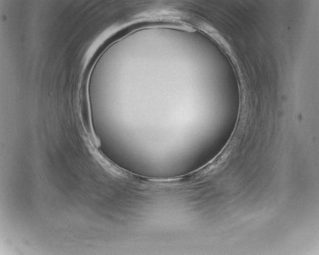 X0000080131344200612080946