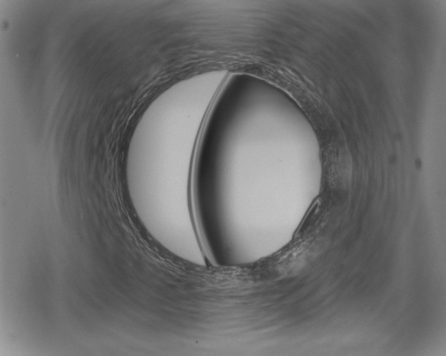 X0000080131345200612080946