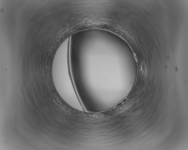 X0000080131348200612080946