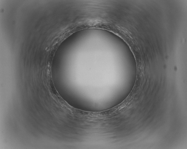 X0000080131349200612080946