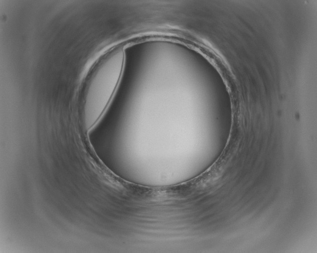 X0000080131360200612080945