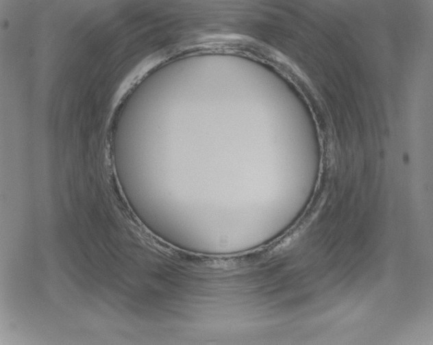 X0000080131362200612080945