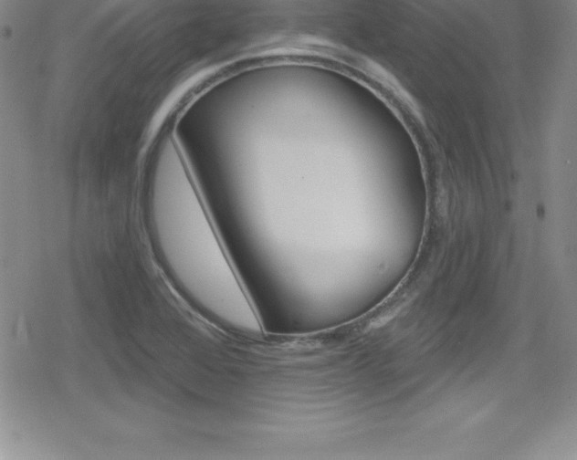 X0000080131368200612080945