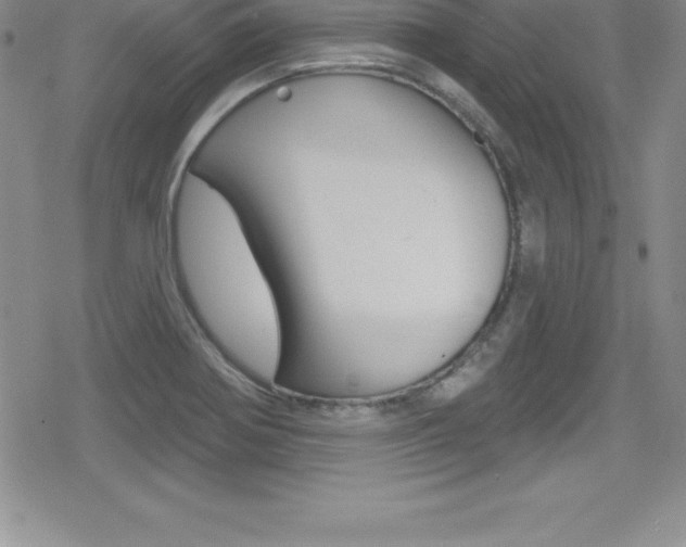X0000080131370200612080945