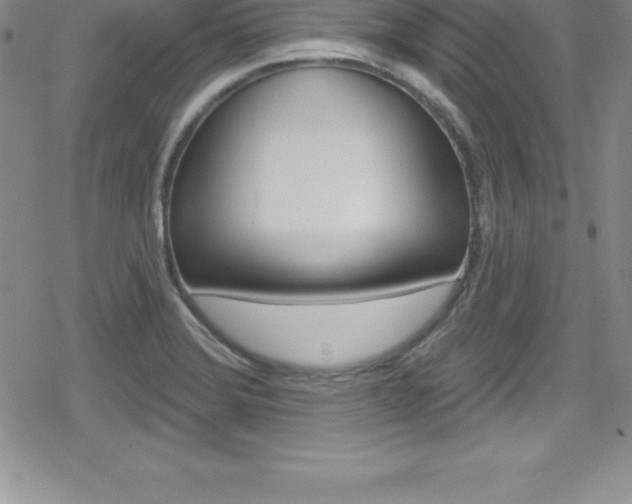 X0000080131372200612080945