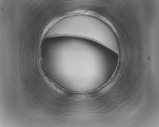 X0000080131373200612080945