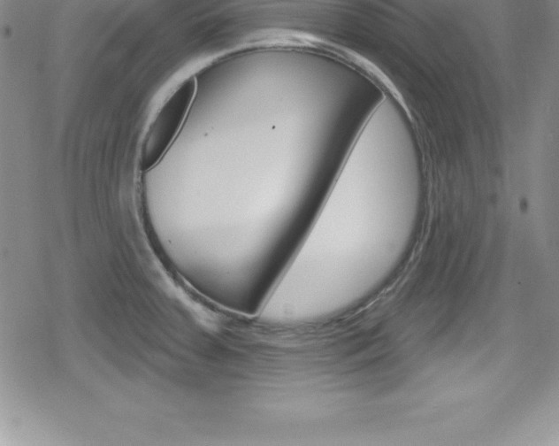 X0000080131379200612080945