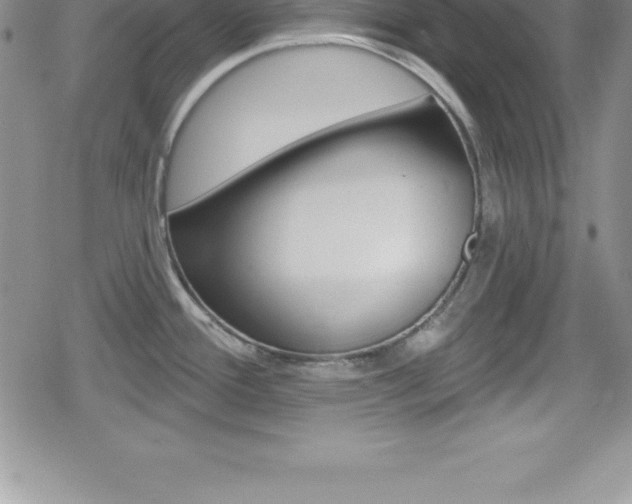X0000080131388200612080945