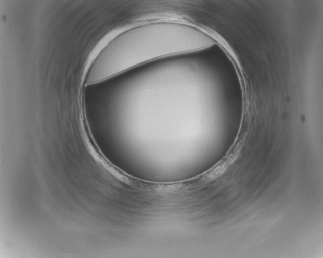 X0000080131389200612080945
