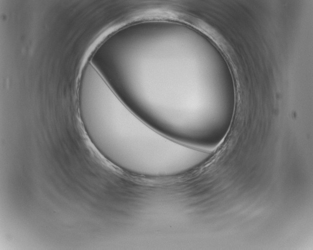 X0000080131392200612080945