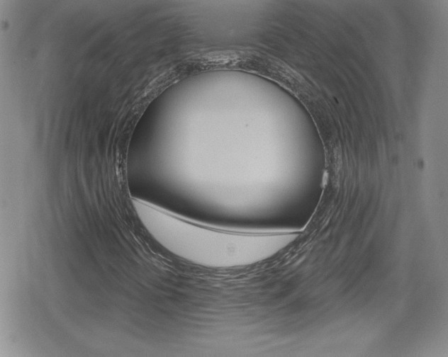 X0000080131394200612080944
