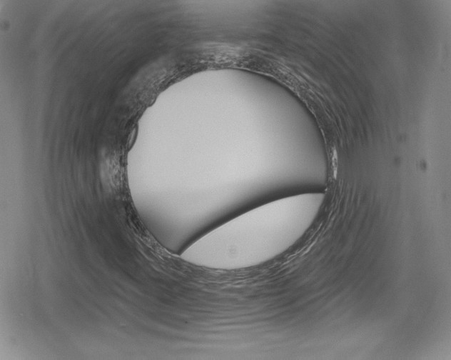 X0000080131395200612080944