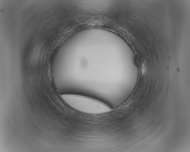 X0000080131396200612080944