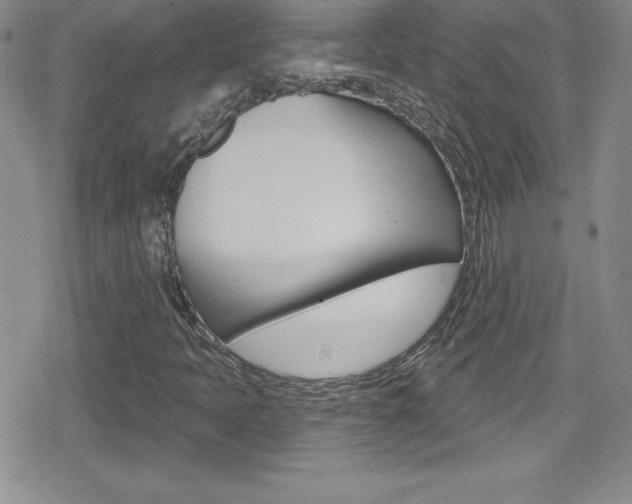 X0000080131397200612080944