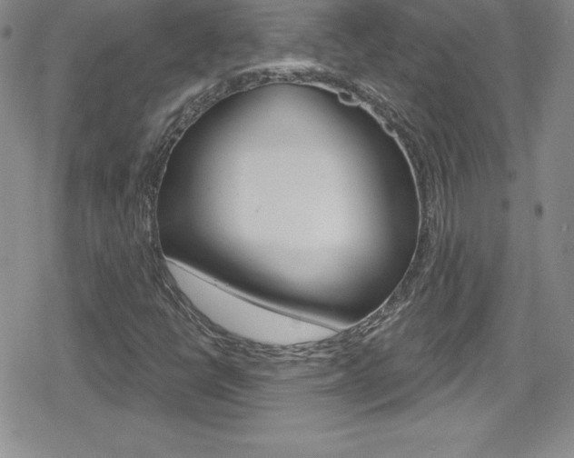 X0000080131398200612080944