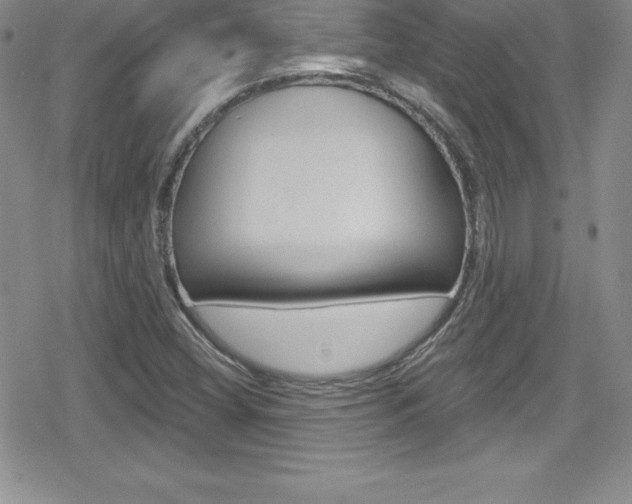 X0000080131404200612080944