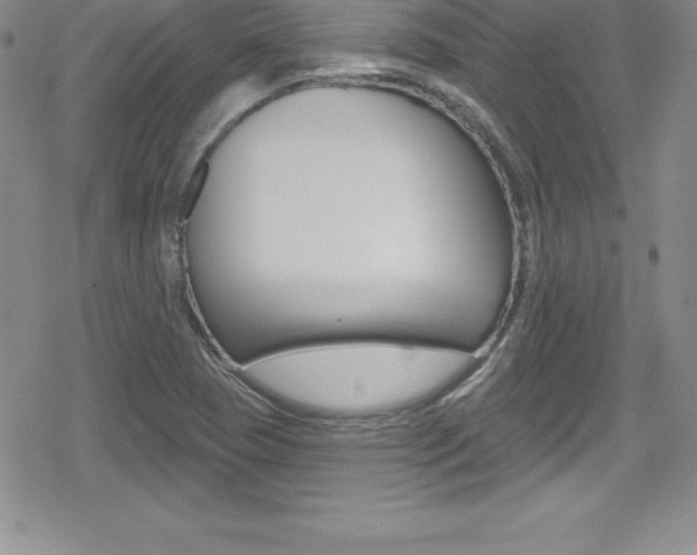 X0000080131409200612080944