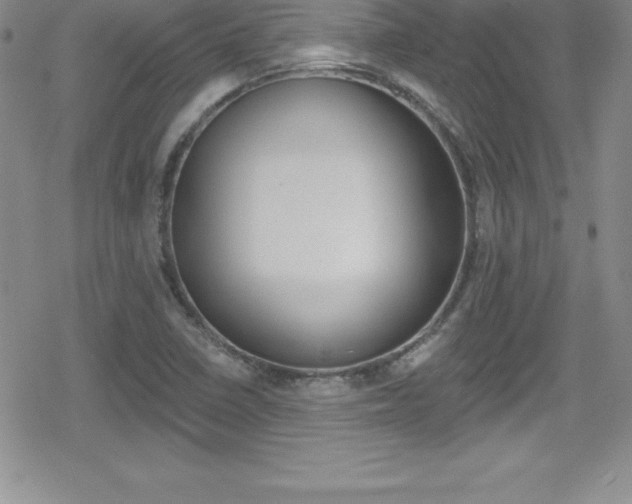 X0000080131410200612080944
