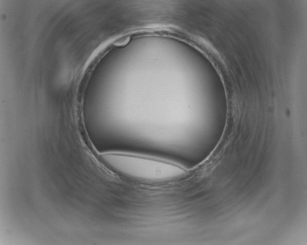 X0000080131412200612080944