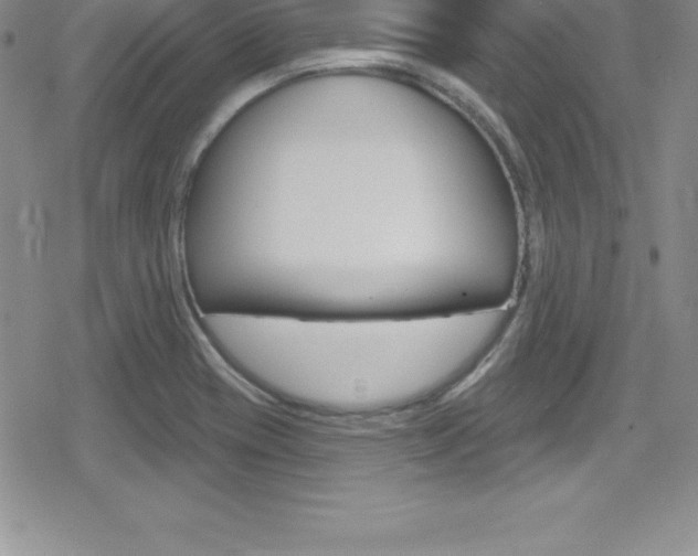 X0000080131417200612080945