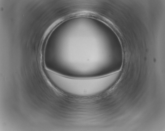 X0000080131418200612080945