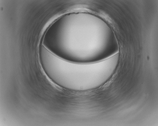 X0000080131430200612080945