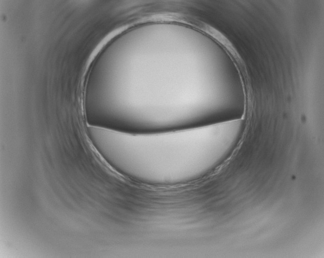 X0000080131436200612080945