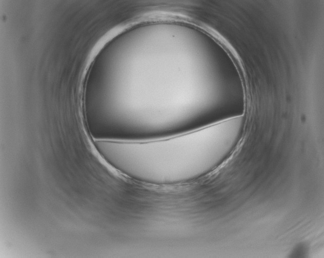 X0000080131437200612080945