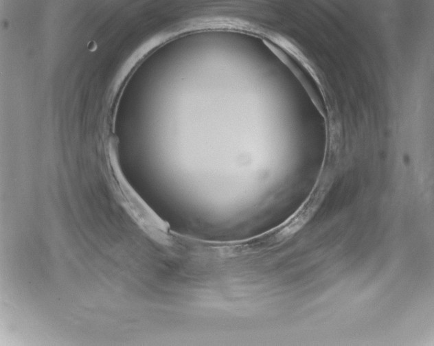 X0000080131438200612080945