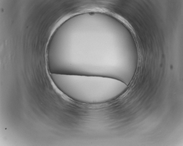 X0000080131439200612080945
