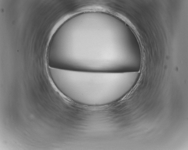 X0000080131440200612080945