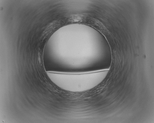 X0000080131442200612080944