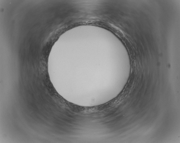 X0000080131447200612080944