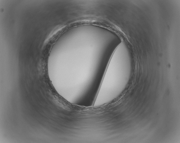 X0000080131448200612080944