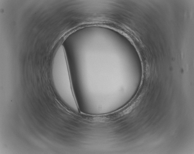 X0000080131449200612080944