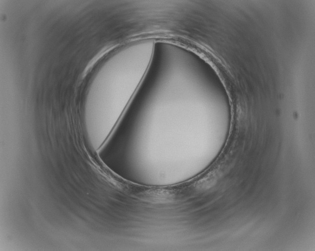 X0000080131450200612080944
