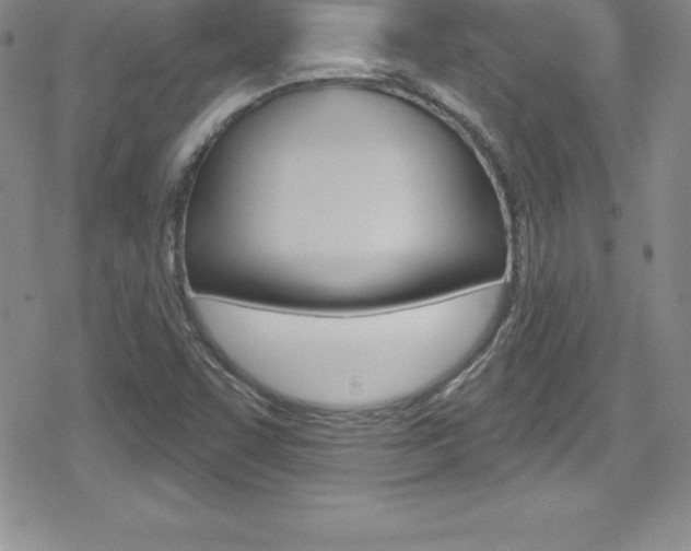 X0000080131455200612080944