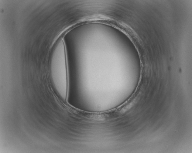 X0000080131457200612080944